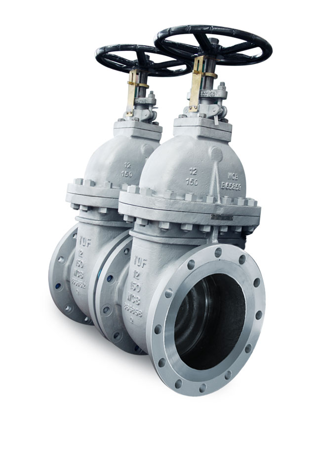 NONE RISING STEM GATE VALVE